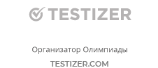 Логотип testizer.com testizer.com